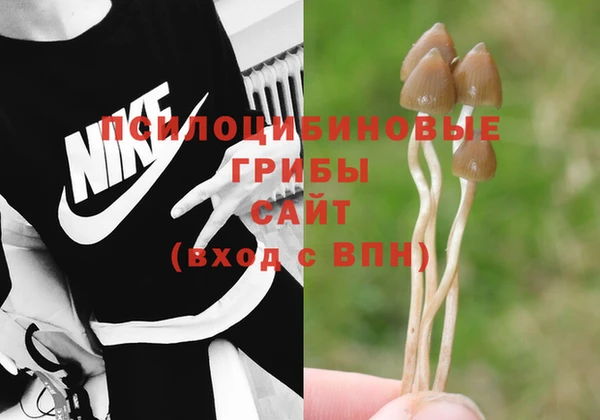 таблы Бронницы