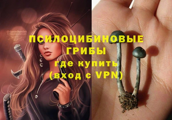 ПСИЛОЦИБИНОВЫЕ ГРИБЫ Семилуки