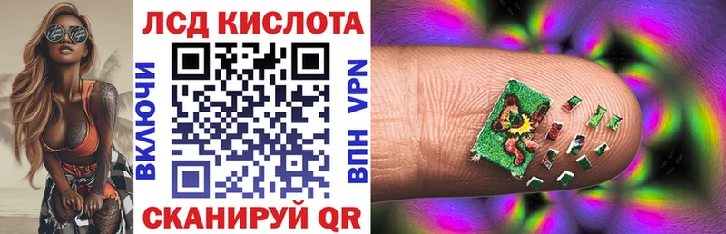 Наркотические марки 1,5мг  где купить наркотик  Новороссийск 