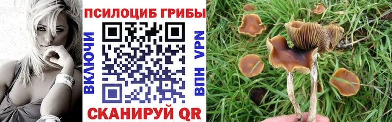 где можно купить наркотик  hydra сайт  Псилоцибиновые грибы MAGIC MUSHROOMS  Новороссийск 